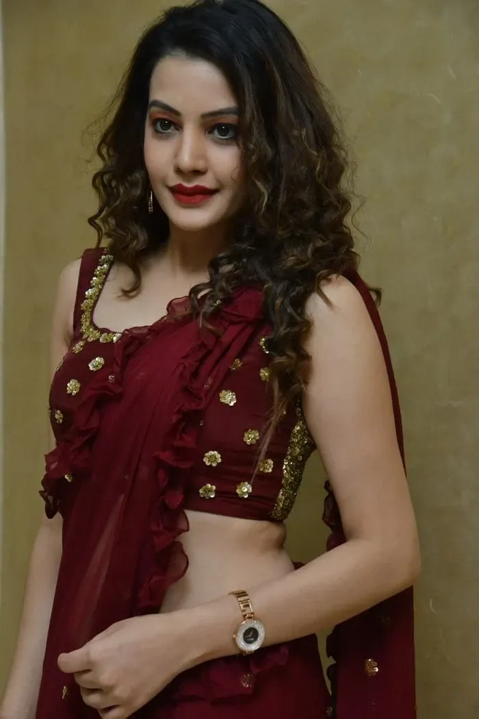 Diksha Panth In Maroon Saree At Movie Press Meet